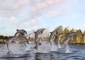Dolfinarium