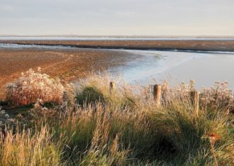 Nationaal Park Lauwersmeer