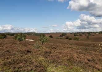 Nationaal Park Veluwezoom