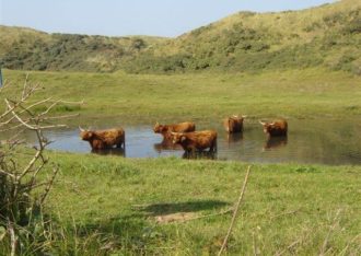 Nationaal Park Zuid-Kennemerland