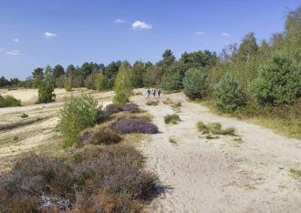 Nationaal Park Sallandse Heuvelrug