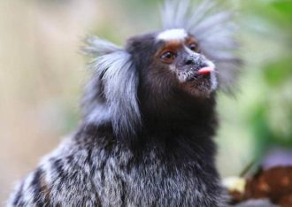 NatuurDoeZoo Insektenwereld