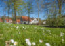 ferienresort-bad-bentheim-park