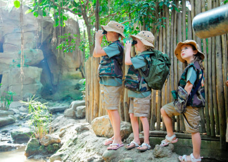 Op avontuur in de Jungle Dome