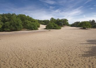 De Loonse en Drunense Duinen