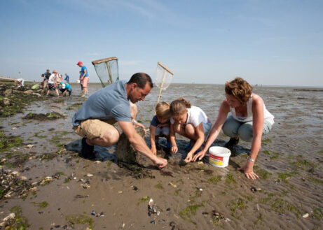 vakantiecentrum-dennenoord-2