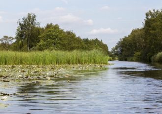 Nationaal Park De Weerribben