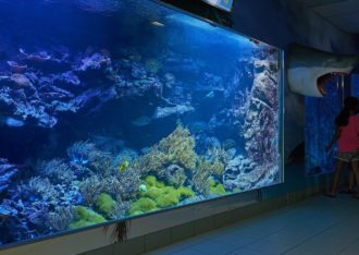 Zee Aquarium