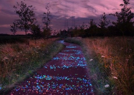 Van Gogh blijft fascineren en inspireren
