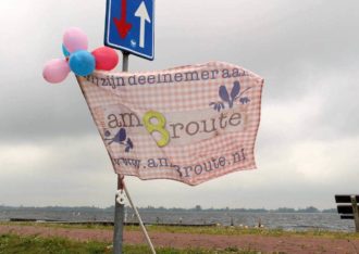 Amb8route