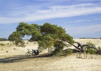 Kootwijkerzand verstuivingen