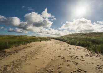 Natuurgebied De Duinen van Voorne