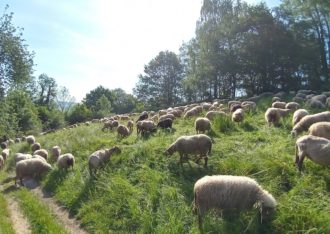 Schaapskooi Mergelland