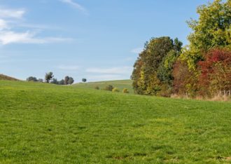 Simpelveld