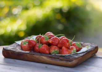 Aardbeienland in Horst