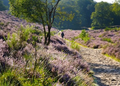 Het Pieterpad – 490 kilometer wandelplezier