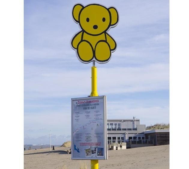strand-nieuwvlietbad-beertje-630