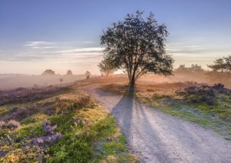 Loenen op de Veluwe