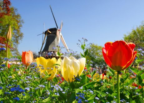 Welke provincie staat op de bucketlist?
