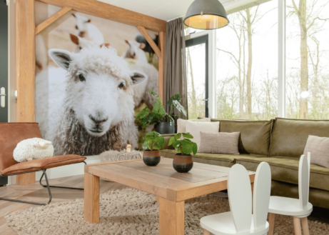 Tip! Deze themabungalows op Mölke zijn super
