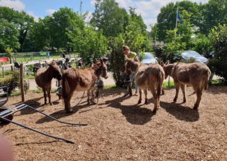 Kinderboerderij De Koperen Ezel